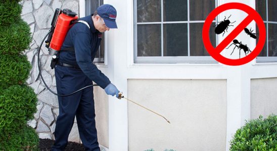 Karataş Kene İlaçlama böcek ilaçlama ve haşere kontrolü — ilaclama-tr.com